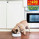 【本日限定!エントリーで最大5000P&店内ポイント最大48倍!】ペットキット PETKIT スケール フィーディングボウル S ホワイト 450ml 犬 猫 ...