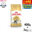 【400円OFFクーポン!&店内ポイント最大42倍!本日限定!】ロイヤルカナン キャットフード アメリカンショートヘアー 成猫用 400g×2個 正規品 猫用品...