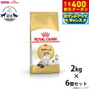 【400円OFFクーポン!&店内ポイント最大42倍!本日限定!】ロイヤルカナン キャットフード ラグドール 成猫用 2kg×6個 正規品 猫用品/ねこグッズ/ペ...