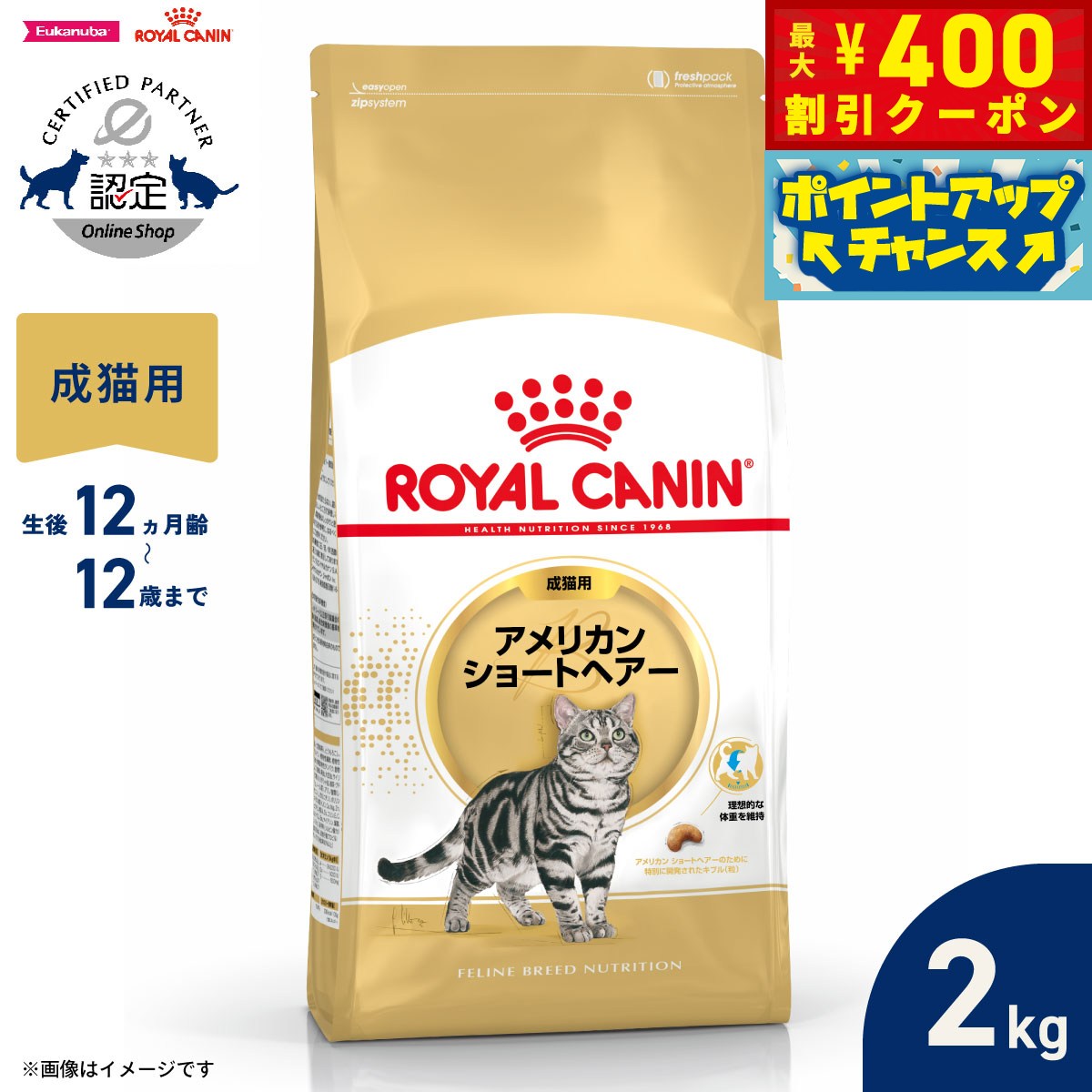 楽天市場】アメリカンショートヘア ロイヤルカナンの通販