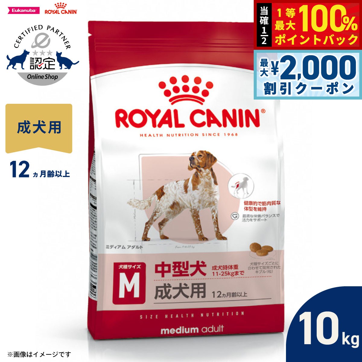  CANIN 中型犬用ドッグフード 10kg 3182550402200.jpg