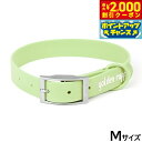 【2000円OFFクーポン!&店内ポイント最大59倍!本日限定!】ゴールデンラフ ゴールデンラフカラー M ミント【送料無料】