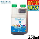 【2000円OFFクーポン!&店内ポイント最大61倍!本日限定!】ヒルトンハーブ トランキリティゴールド 500ml 送料無料