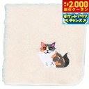 【2000円OFFクーポン!&店内ポイント最大59倍!本日限定!】阪急ハロードッグ オーガニックコットン ハンカチタオル ノルウエージャン ホワイト 猫柄
