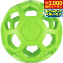 【2000円OFFクーポン!&店内ポイント最大59倍!本日限定!】JW ホーリーローラーボール ミニ ライトグリーン