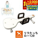 【2000円OFFクーポン!&店内ポイント最大59倍!本日限定!】ワンエイド リラたっちホームタイプ ロー 120【送料無料】 介護 トリミング シャンプー台