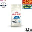 【2000円OFFクーポン!&店内ポイント最大59倍!本日限定!】ロイヤルカナン 猫 キャットフード インドア 7+ 3.5kg 正規品 猫用品/ねこグッズ/ペ...