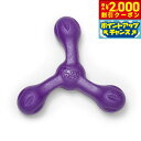 【2000円OFFクーポン!&店内ポイント最大59倍!本日限定!】ウェストポウ ゾゴフレックス エコー スキャンプ L パープル