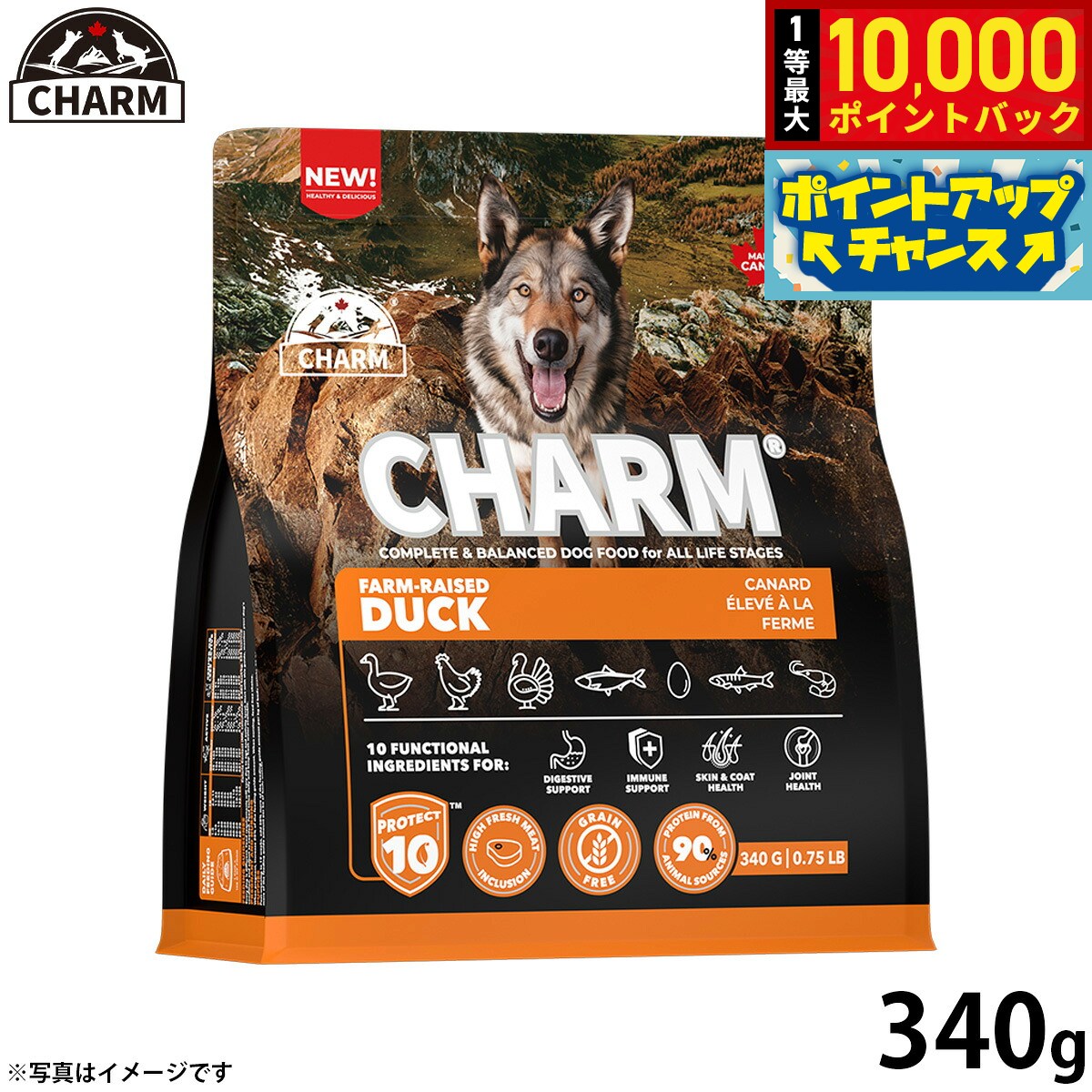 【8/20限定！抽選で最大1万ポイントバック】チャーム CHARM ファームレイズドダック 鴨肉 ドッグフード グレインフリー 340g 無添加 穀物フリー 穀物不使用 小麦不使用 グルテンフリー 犬 ナチュラル