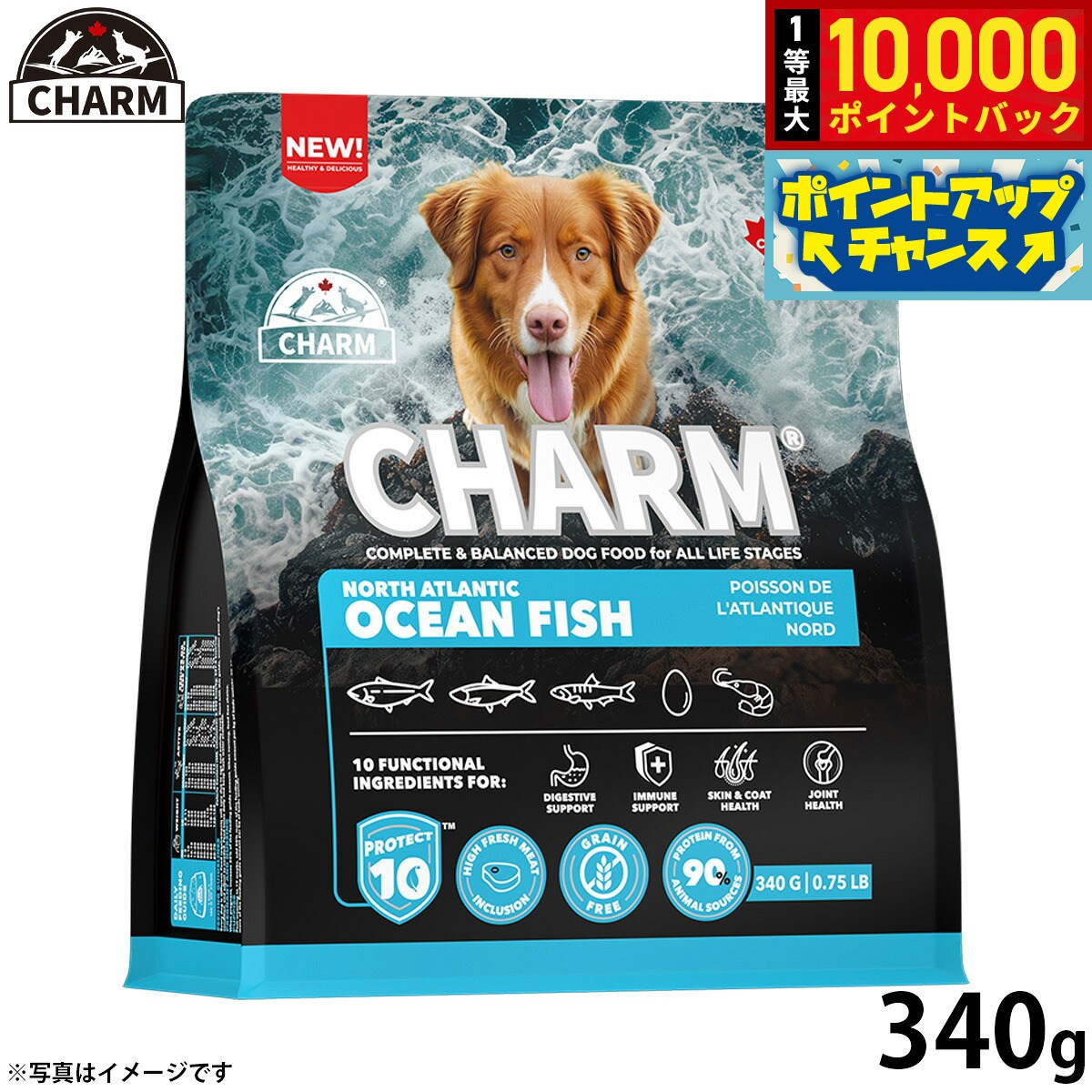 チャーム ドッグフード CHARM ノース・アトランティック・オーシャン・フィッシュドッグフード 340g プレミアムフード グレインフリー 犬 ナチュラル アレルギー 小粒 無添加 肥満