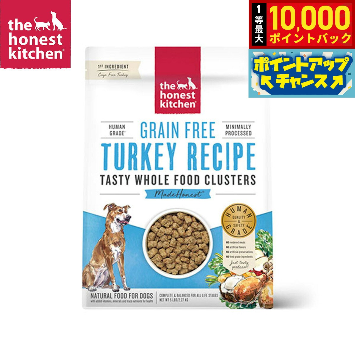 【8/20限定！抽選で最大1万ポイントバック】オネストキッチン クランチ ドッグフード グレインフリー ターキー