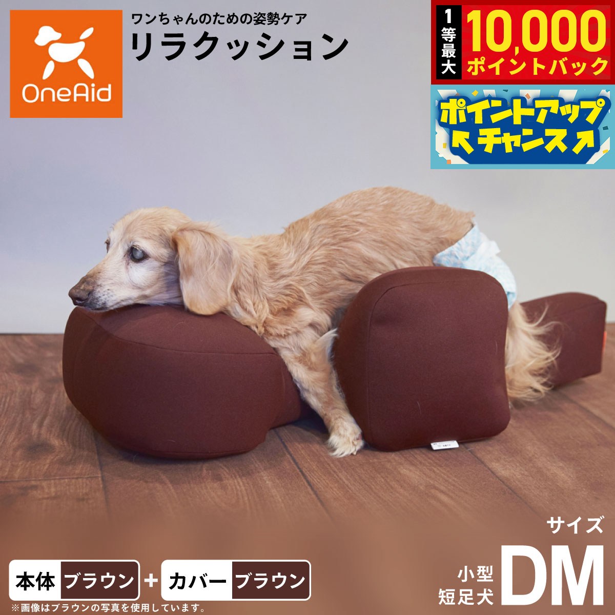 楽天市場】犬 リラクッション dmの通販