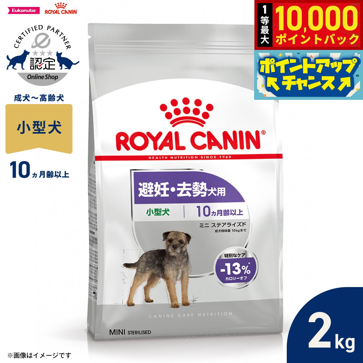 楽天市場】ロイヤルカナン ミニステアライズド2kgの通販