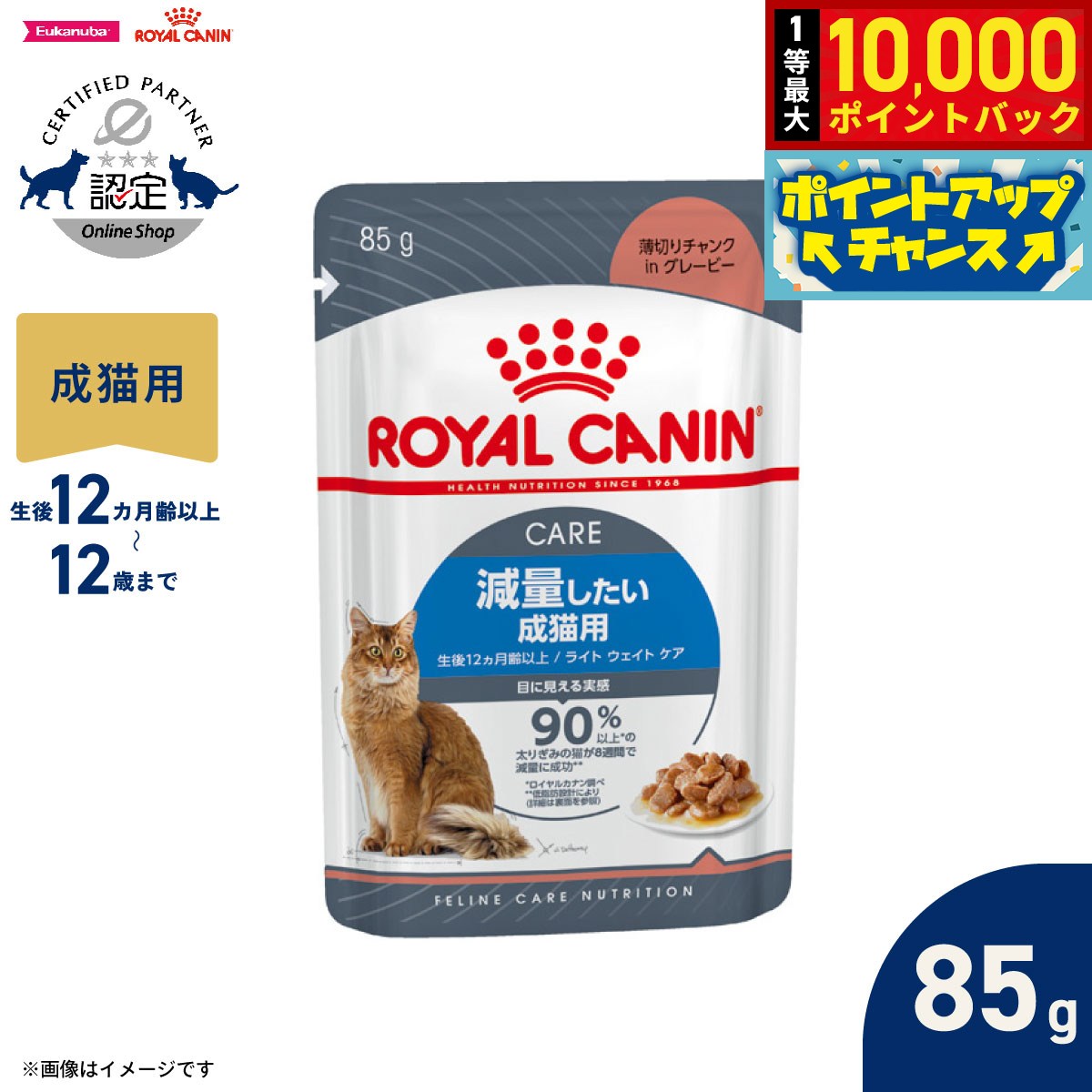【店内ポイント最大41倍！本日限定！】ロイヤルカナン 猫 キャットフード フィーラインケアニュートリション ウェットフード ライト ウェイト ケア 減量したい成猫用 85g 正規品 減量したい猫専用ウェットフード 成猫用