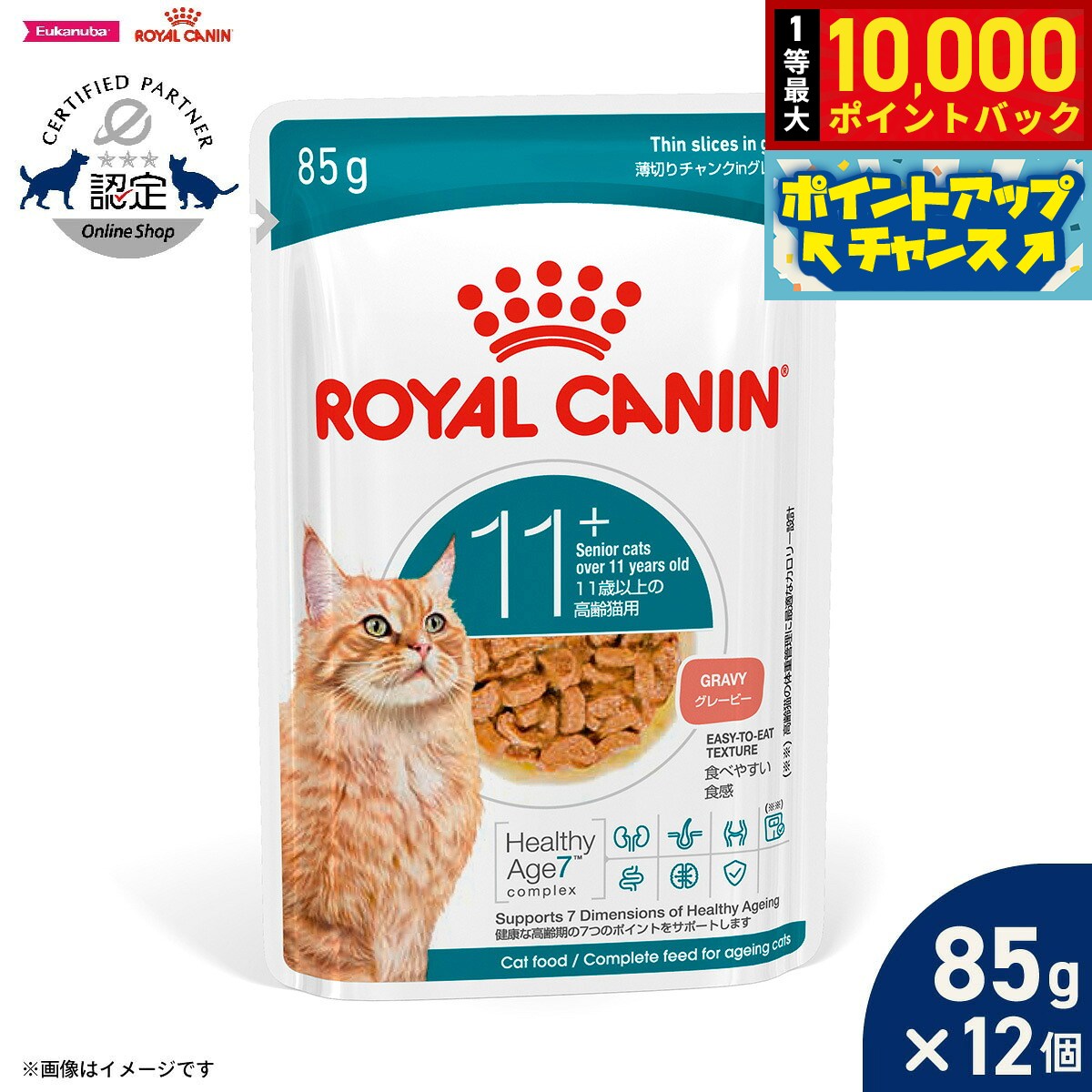楽天市場】ロイヤルカナン エイジング＋12 12歳以上の老齢猫用 85gの通販