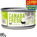 【エントリーでポイント+5.5倍!本日限定!】ペットカインド カナダフレッシュ キャットウェット ビーフ SAP 85g 猫 キャットフード ウェットフード 缶詰 総合栄養食 全猫種 全年齢 合成保存料 人工香料 着色料不使用 家禽肉不使用