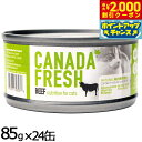 【エントリーでポイント+5.5倍!本日限定!】ペットカインド カナダフレッシュ キャットウェット ビーフ SAP 85g×24缶 猫 キャットフード 缶詰 総合栄養食 全猫種 全年齢 合成保存料 人工香料 着色料不使用 家禽肉不使用