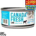 【エントリーでポイント+5.5倍!本日限定!】ペットカインド カナダフレッシュ キャットウェット ラム SAP 85g 猫 キャットフード ウェットフード 缶詰 総合栄養食 全猫種 全年齢 合成保存料 人工香料 着色料不使用 家禽肉不使用
