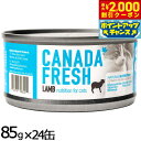 【エントリーでポイント+5.5倍!本日限定!】ペットカインド カナダフレッシュ キャットウェット ラム SAP 85g×24缶 猫 キャットフード 缶詰 総合栄養食 全猫種 全年齢 合成保存料 人工香料 着色料不使用 家禽肉不使用