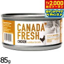 【エントリーでポイント+5.5倍!本日限定!】ペットカインド カナダフレッシュ キャットウェット チキン SAP 85g 猫 キャットフード ウェットフード 缶詰 総合栄養食 全猫種 全年齢 合成保存料不使用 人工香料 着色料不使用