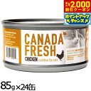 【エントリーでポイント+5.5倍!本日限定!】ペットカインド カナダフレッシュ キャットウェット チキン SAP 85g×24缶 猫 キャットフード ウェット 缶詰 総合栄養食 全猫種 全年齢 合成保存料 人工香料 着色料不使用