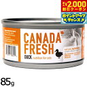 【エントリーでポイント+5.5倍!本日限定!】ペットカインド カナダフレッシュ キャットウェット ダック SAP 85g 猫 キャットフード ウェットフード 缶詰 総合栄養食 全猫種 全年齢 合成保存料不使用 人工香料 着色料不使用