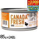 【エントリーでポイント+5.5倍!本日限定!】ペットカインド カナダフレッシュ キャットウェット ダック SAP 85g×24缶 猫 キャットフード ウェット 缶詰 総合栄養食 全猫種 全年齢 合成保存料 人工香料 着色料不使用