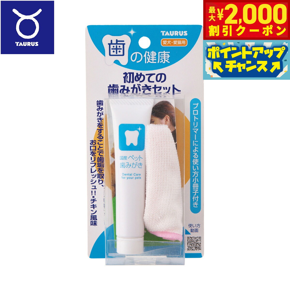 【最大2000円OFFクーポン！＆店内ポイント最大51倍！本日限定！】トーラス 初めての歯みがきセット 21g