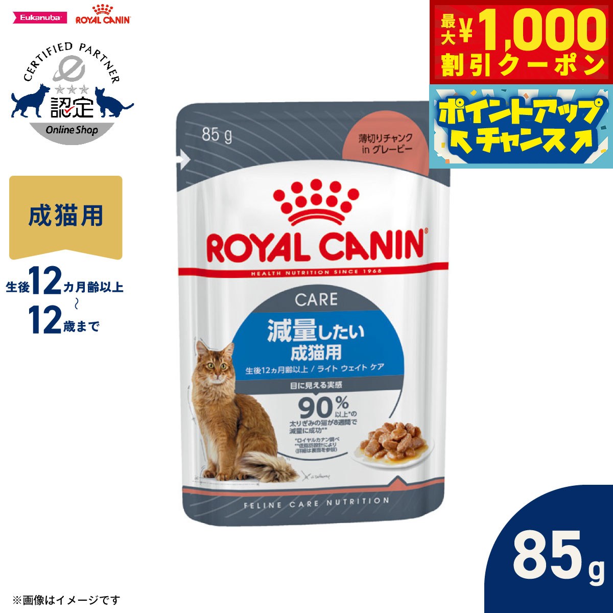 【9/2限定！先着で最大1000円OFFクーポン】ロイヤルカナン 猫 キャットフード フィーラインケアニュートリション ウェットフード ライト ウェイト ケア 減量したい成猫用 85g 正規品 減量したい猫専用ウェットフード 成猫用