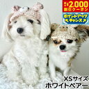 【2000円OFFクーポン!&エントリーでポイント+22.5倍!本日限定!】犬の帽子 ガーデンオブエデン テディーベアCAP XS ホワイトベア-【送料無料】