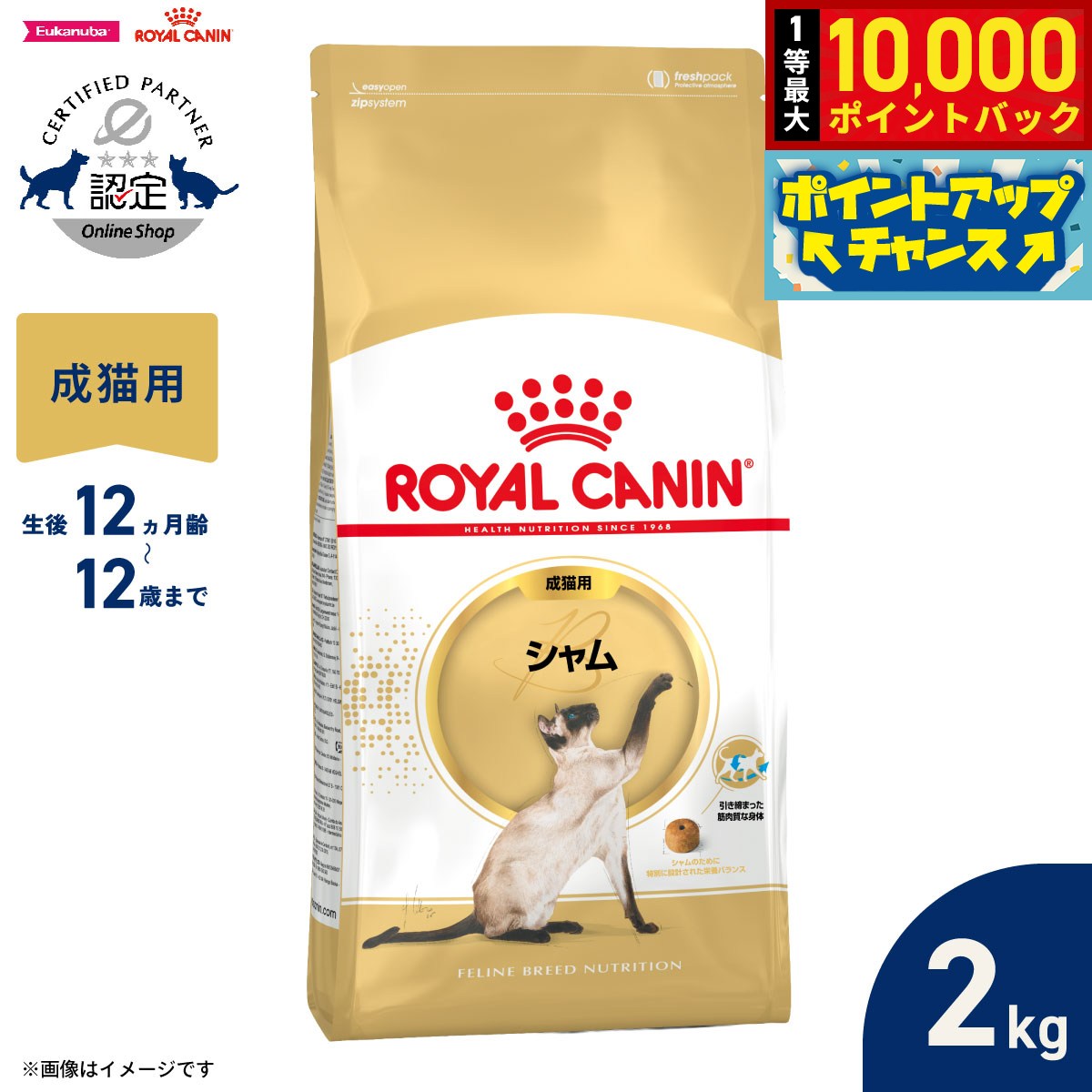 【9/15限定！抽選で最大1万ポイントバック】ロイヤルカナン 猫 キャットフード フィーラインブリードニュートリション シャム専用フード 成猫用 2kg 正規品