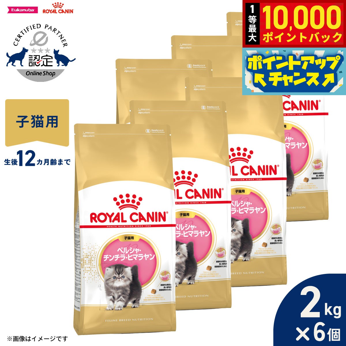 【9/15限定！抽選で最大1万ポイントバック】ロイヤルカナン 猫 キャットフード フィーラインブリードニュートリション ペルシャ チンチラ ヒマラヤン専用フード 子猫用 2kg×6個 正規品