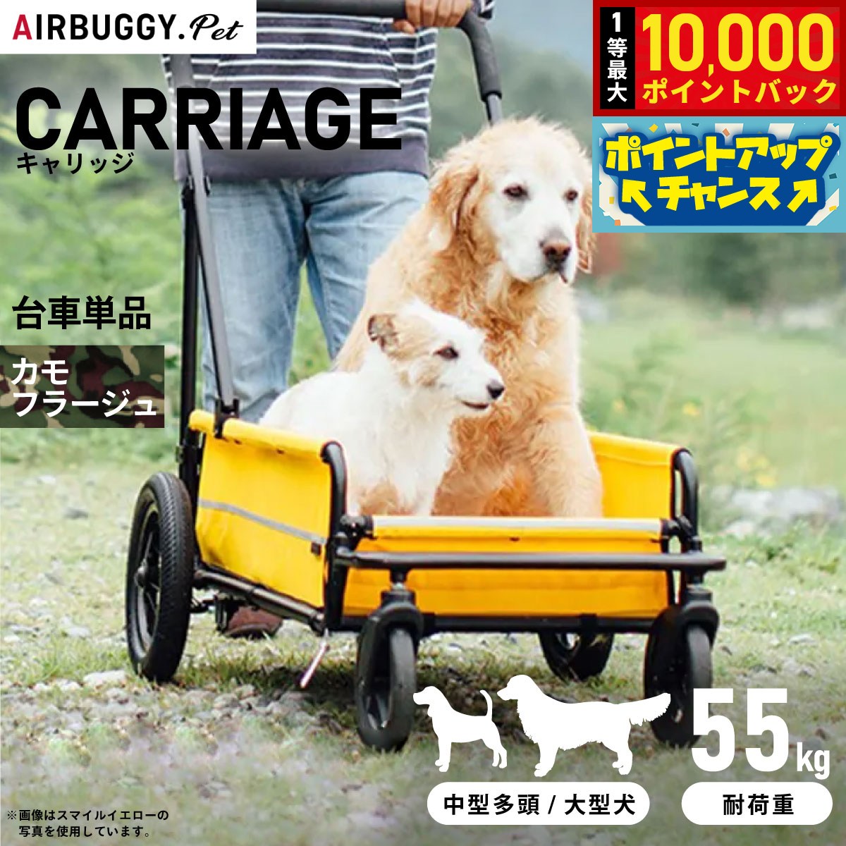 楽天市場】エアバギー キャリッジの通販