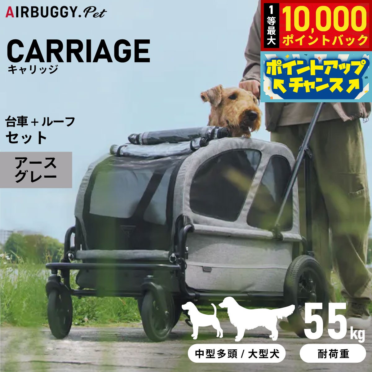 楽天市場】エアバギー キャリッジの通販