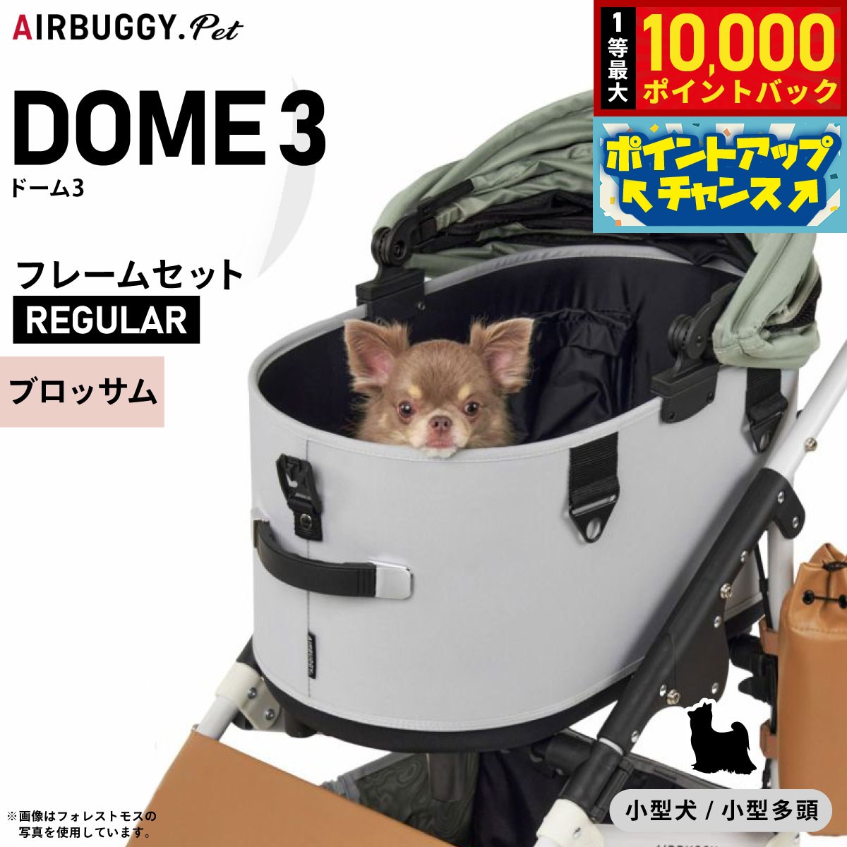 楽天市場】エアバギー ドーム3 レギュラー ブロッサムの通販