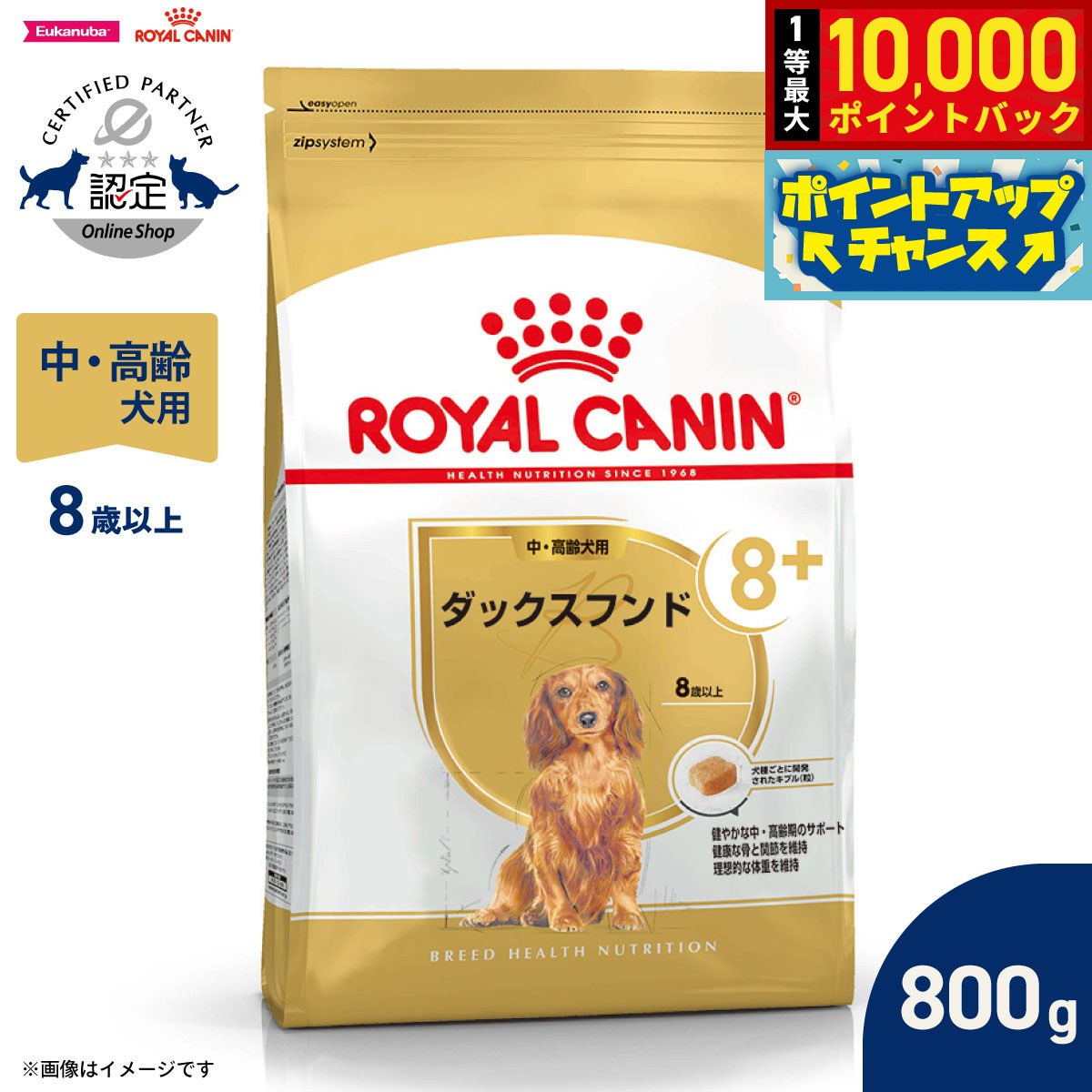 【9/15限定！抽選で最大1万ポイントバック】ロイヤルカナン 犬 ドッグフード ブリードヘルスニュートリション ダックスフンド専用フード 中 高齢犬用 800g 正規品