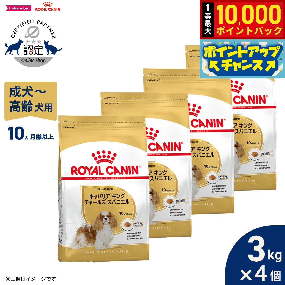 【9/15限定！抽選で最大1万ポイントバック】ロイヤルカナン 犬 ドッグフード ブリードヘルスニュートリション キャバリア キング チャールズ専用フード 成犬〜高齢犬用 3kg×4個 正規品
