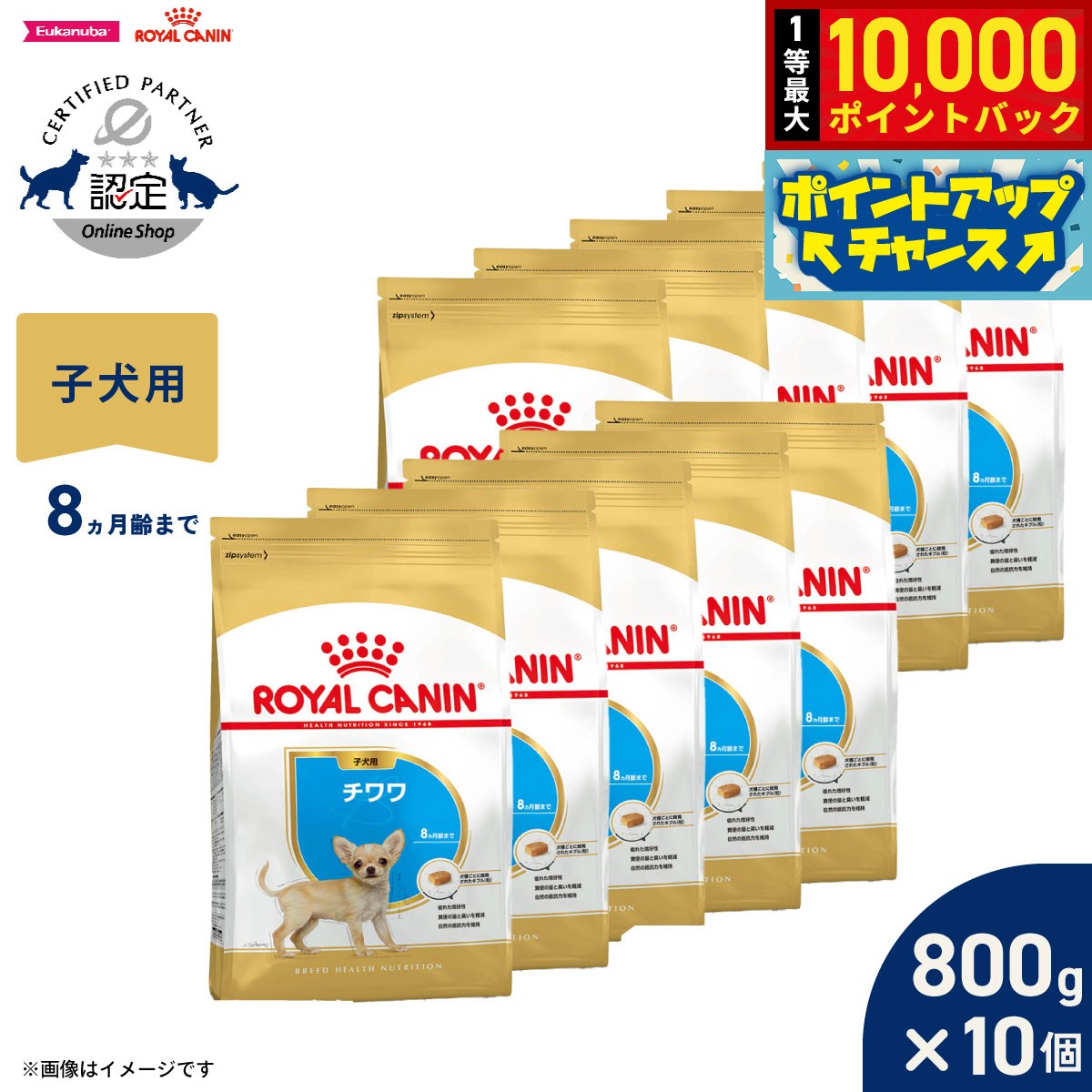 【店内ポイント最大41倍！9月25日！】ロイヤルカナン 犬 ドッグフード ブリードヘルスニュートリション チワワ専用フード 子犬用 800g×10個 正規品