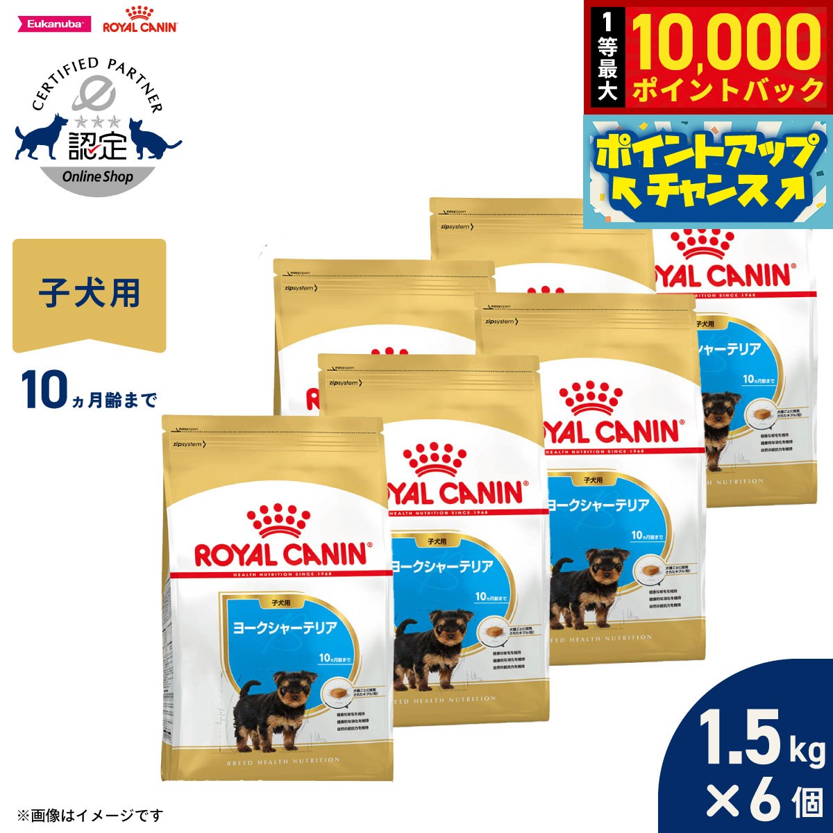 【店内ポイント最大41倍！本日限定！】ロイヤルカナン 犬 ドッグフード ブリードヘルスニュートリション シーズー専用フード 子犬用 1.5kg×6個 正規品