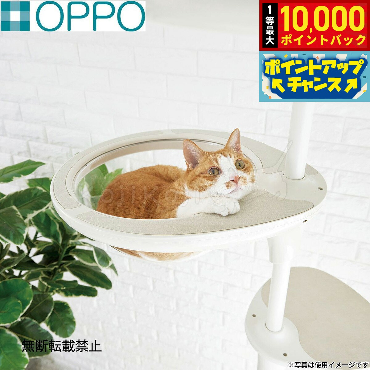 楽天市場】oppo キャットタワー 黒の通販