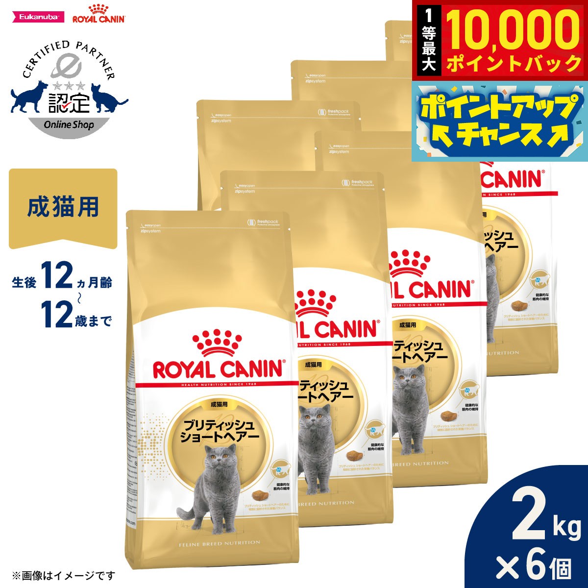 【9/18限定！抽選で最大1万ポイントバック】ロイヤルカナン 猫 キャットフード フィーラインブリードニュートリション ブリティッシュ ショートヘアー専用フード 成猫用 2kg×6個 正規品