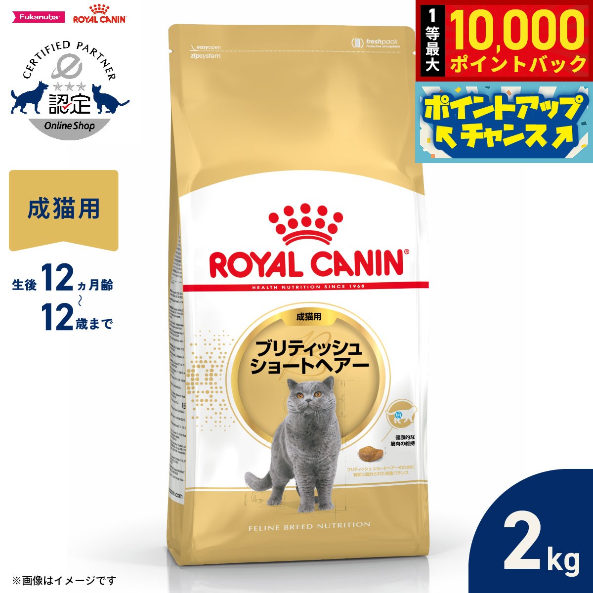 【9/18限定！抽選で最大1万ポイントバック】ロイヤルカナン 猫 キャットフード フィーラインブリードニュートリション ブリティッシュ ショートヘアー専用フード 成猫用 2kg 正規品