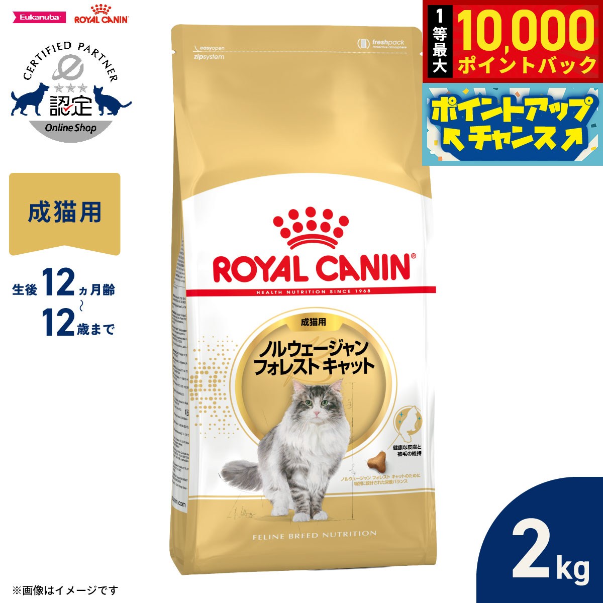 【9/18限定！抽選で最大1万ポイントバック】ロイヤルカナン 猫 キャットフード フィーラインブリードニュートリション ノルウェージャン フォレストキャット専用フード 成猫用 2kg 正規品