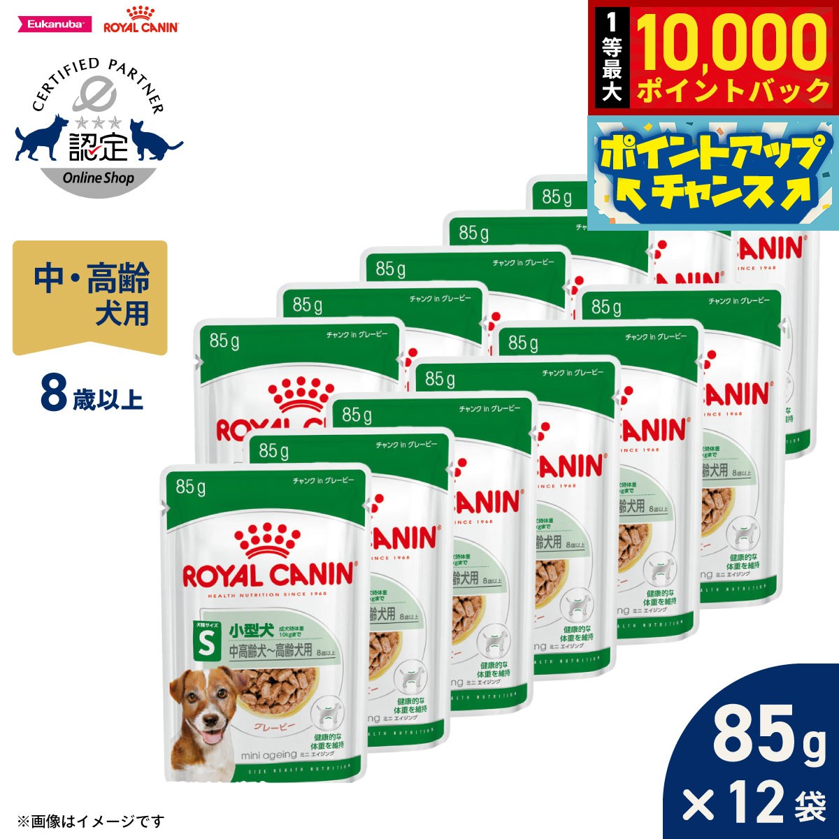 楽天市場】ロイヤルカナン ミニエイジング12+ ウエットの通販