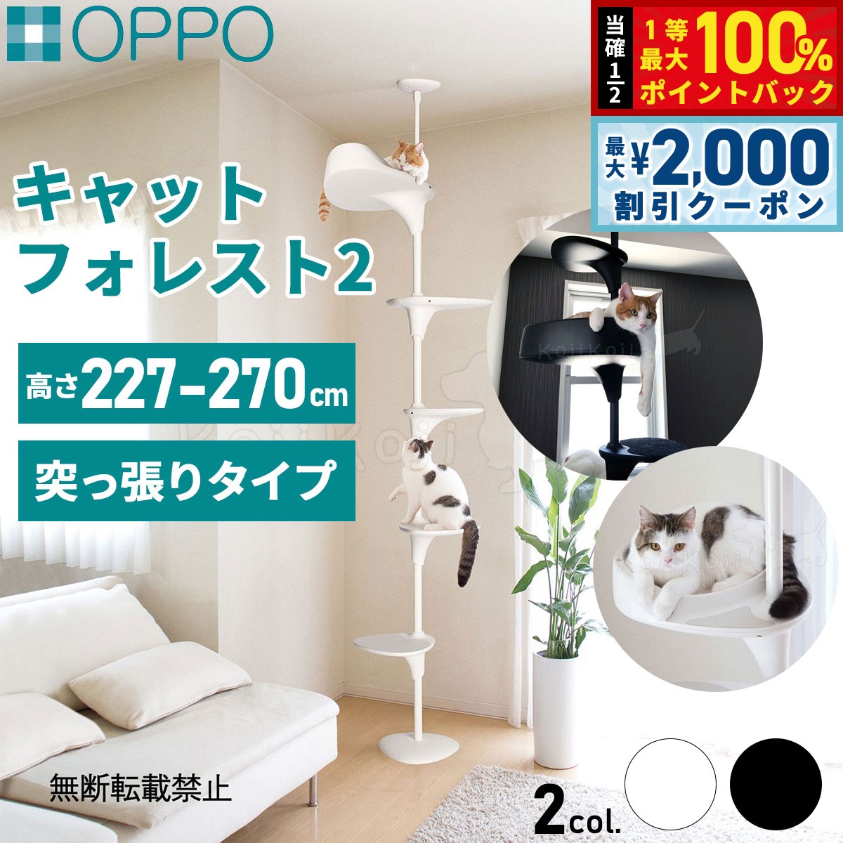 楽天市場】oppo cat forestの通販