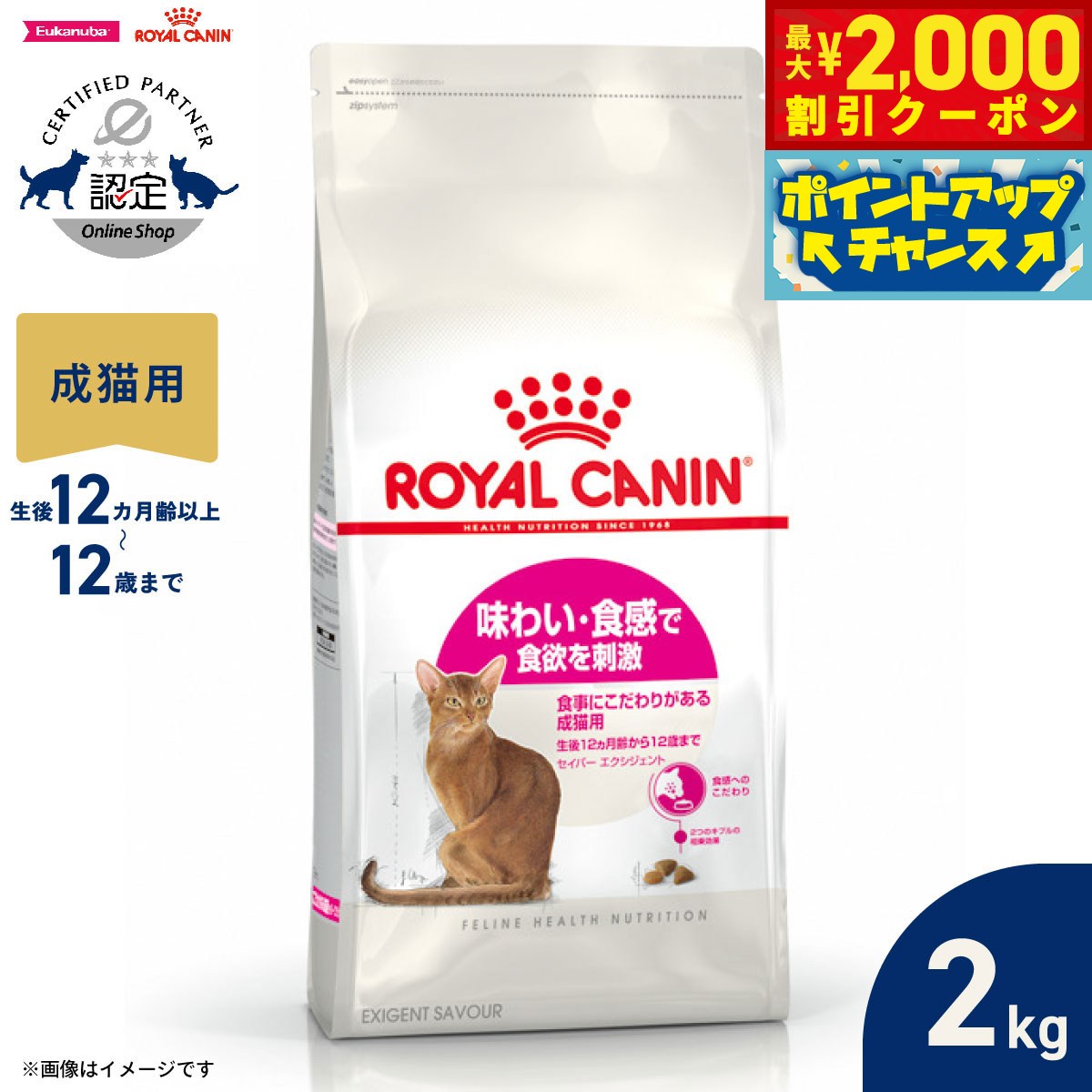 楽天市場】ロイヤルカナン セイバー エクシジェント 2kgの通販