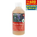 【400円OFFクーポン!&エントリーでポイント+4倍!10月1日!】ヒルトンハーブ フィトソルブ 500ml