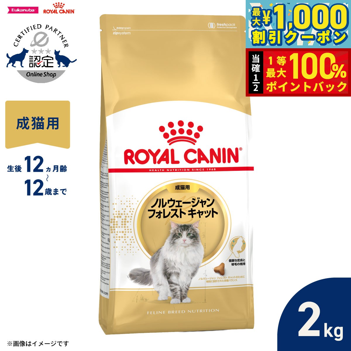 楽天市場】猫 ロイヤルカナン ノルウェージャンフォレストキャット 2kg