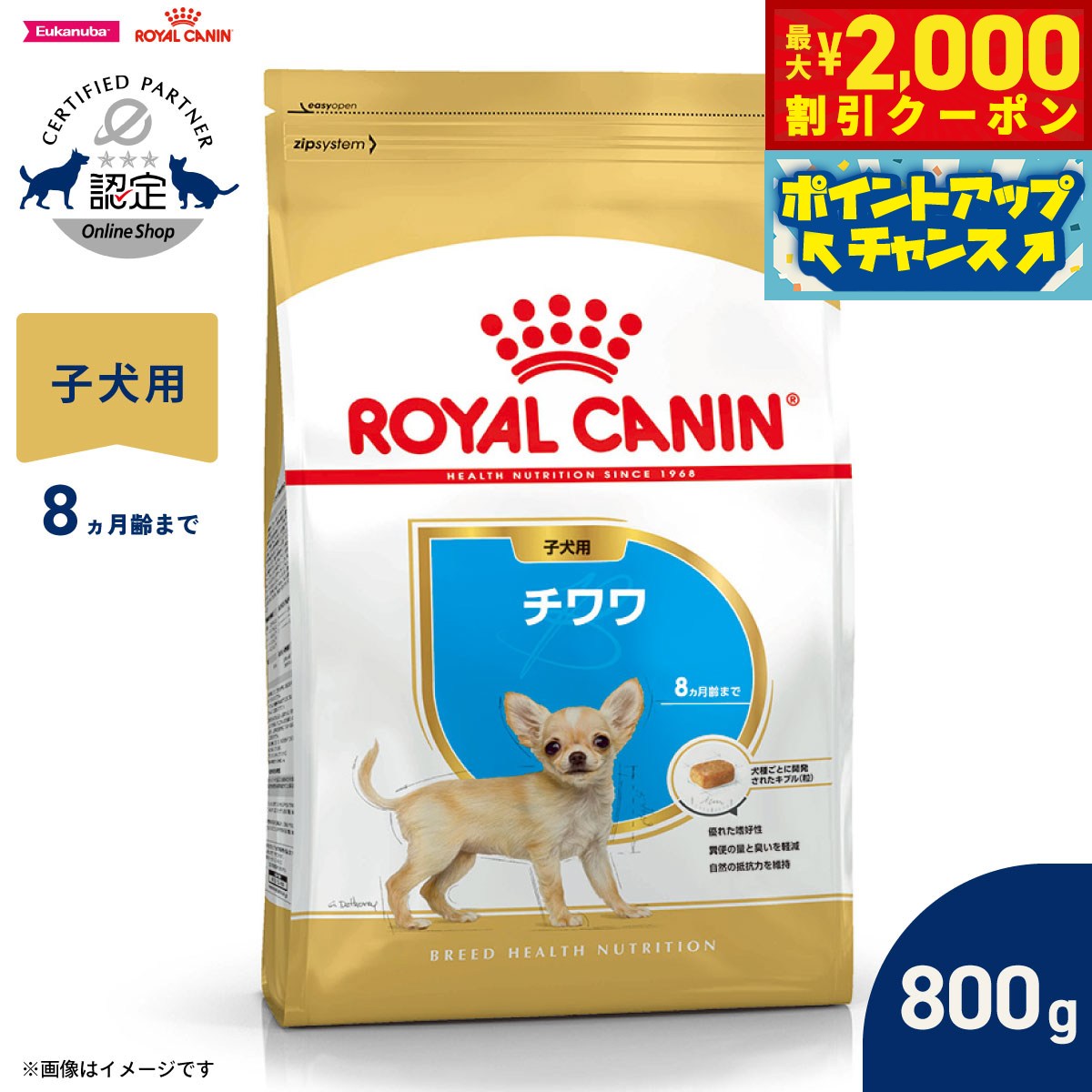 楽天市場】ロイヤルカナン 子犬 チワワの通販