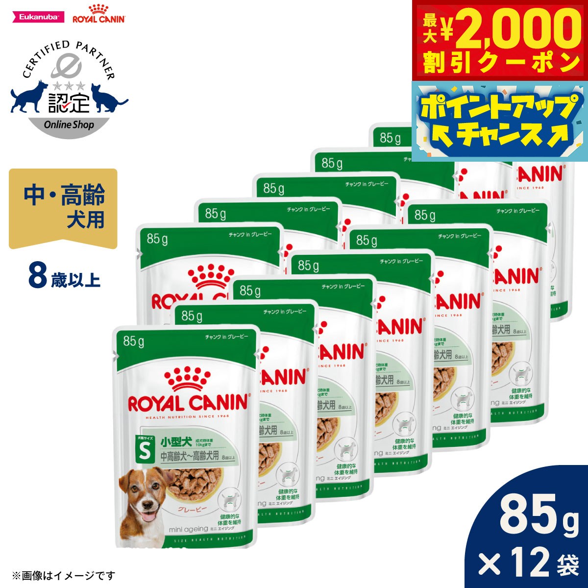 楽天市場】ロイヤルカナン ミニエイジング12+ ウエットの通販